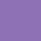 Amato Transparent Purple